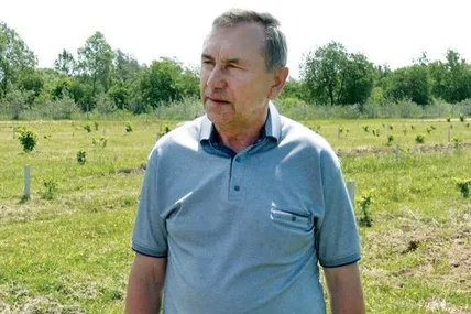 Із висаджених навесні саджанців Олександр Батьковець планує виплекати фундуковий сад. Фото – Суспільне-Львів.