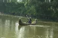Сільський умілець плаває на човні з... очерету 