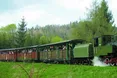 Весела «цюхця» у Бещадах