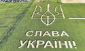 «З дрона добре видно блакитне небо і жовтий соняшник»