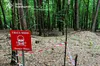 На Золочівщині піротехніки знищили 76-мм артснаряд часів Другої світової війни