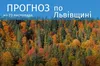 Погода у Львівській області 23 листопада 2023 року