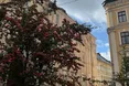Шостий за тиждень: у Львові зафіксували черговий температурний рекорд