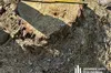 На Львівщині судитимуть керівника лісництва за незаконні рубки майже на 10 млн грн