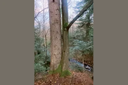 Фото Мар'яна Лозинського