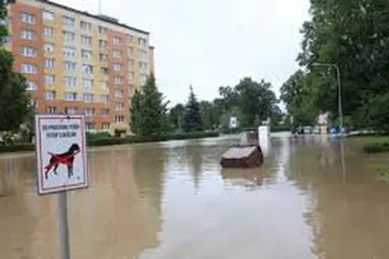Фото: Слово і Діло