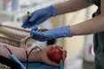 На Львівщині понад 2500 донорів долучилися до акції «Наповнення»: культура об'єдналася заради порятунку життів