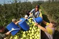 «Як тільки продавець почула українську, почала кричати, що я злодійка»