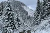 Сніжна погода перетнула український кордон