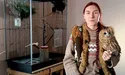 На подвір'ї птахи зі всього лісу, а у кімнаті - ще й кабан…