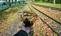 У Стрийському парку — листопадові опеньки