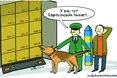 Один бій виграли. Як виграти війну?
