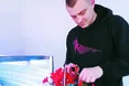 Настурція пасує до м’яса, а бегонія – до десертів