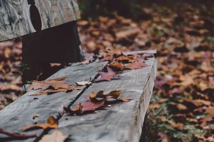 Фото: Unsplash