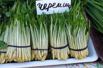 Фото з архіву “ВЗ”