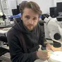 «У 90% випадках досліджуємо символіку тоталітарних режимів»