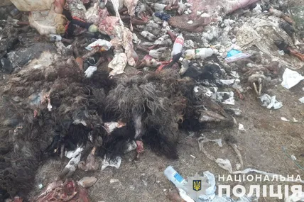 Фото: Поліція Львівської області