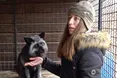 Підібрала безпритульних беззахисних лисиць…
