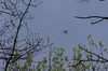 Зранку у Воронезькій області рф два дрони атакували військовий полігон