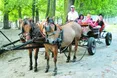 Хоч і не на бал, зате на бричці з вітерцем