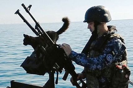 Киця Елеонора попереджає моряків про небезпеку