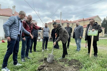 Липка у&nbsp;Сколе&nbsp;&mdash; на&nbsp;згадку про Івана Франка і&nbsp;Соломію Крушельницьку