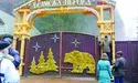 «Ведмежа діброва» здалася без бою...