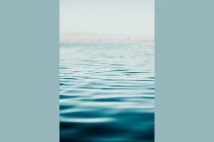 Фото ілюстративне із сайту Pexels
