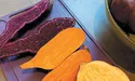 Замість картоплі – батат: бізнес учасника АТО