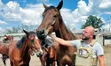 Із зони бойових дій евакуйовують і тварин