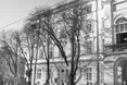 Площу Ринок позбавлять «зелених легень»