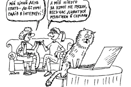 День кота