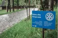 І стане Україна дібровою