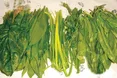 Перша весняна зелень