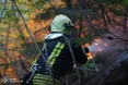 Масштабна пожежа на Закарпатті: вогонь охопив лісові масиви поблизу Воловця