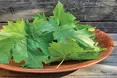 Виноградне листя на зиму: з нього готують долму, роли, запіканки…