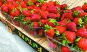 На львівських ринках «царює» закарпатська полуниця