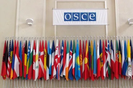 ОБСЄ назвало дату проведення консультації на запит України
