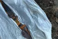 Археологічний скарб на продаж: за спробу збуту руків'я щита та списів чоловік на Львівщині отримав штраф