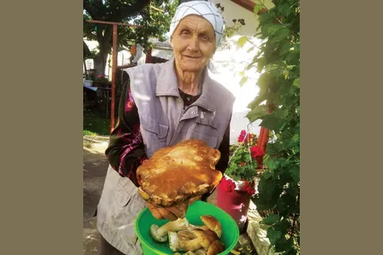 Від одного лиш погляду на ці апетитні гриби у руках Марії Антонівни аж слинка тече... Фото Тетяни Патичко