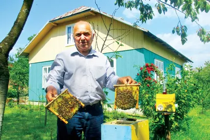 Володимир Кіс спеціалізується на вирощуванні чистопородних карпатських бджіл. Фото Ігоря ЛАЗОРИШИНА