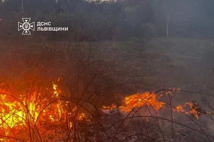 Фото: ДСНС Львівщини