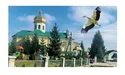 «Ті вужі мені на подвір'я полізуть. Не хочу, щоб ставили стовпа з лелечим гніздом…»