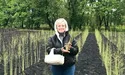 На бабусиному городі вирощує спаржу