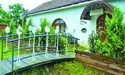 Ласощі із Закарпаття