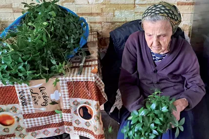 Бабуся Юлія плела весільний вінок трьом онучкам, тепер сплела його і для четвертої. Фото Андрія Долинського. Тернопільська область
