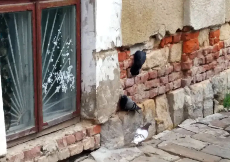 Унікальну пам'ятку руйнував час, байдужі люди і ... голуби. Фото автора