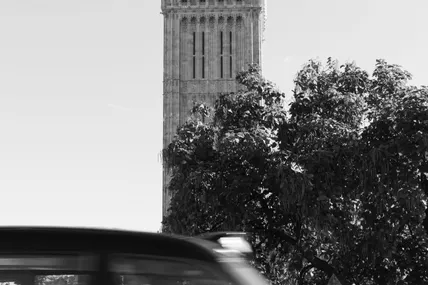 Фото ілюстративне із сайту Pexels