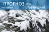 Погода на 1 грудня 2023 року у Львівській області