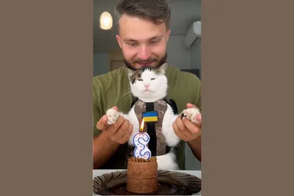 Якому ще котику дарують такий торт зі свічкою?